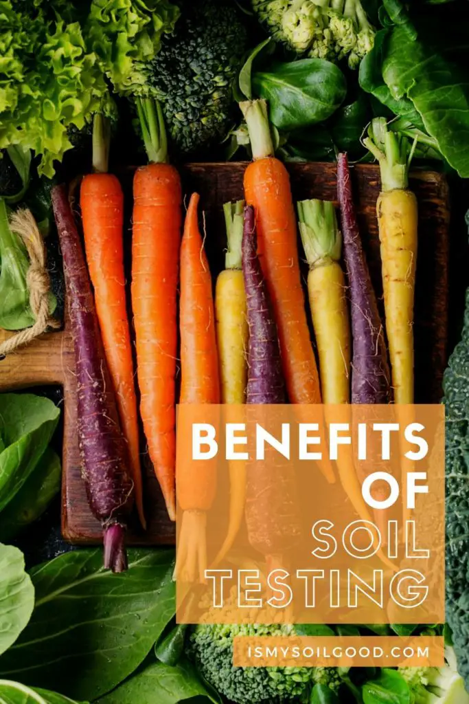 Benefits of soil testing