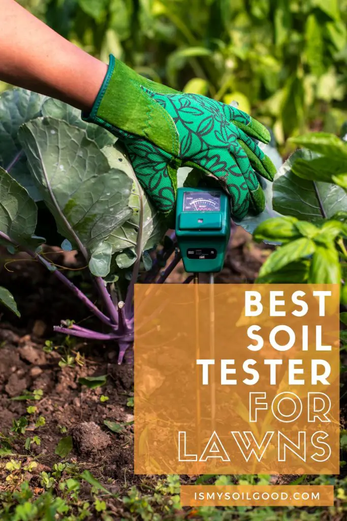 Best Soil Tester for Lawns