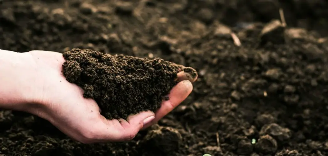 Amazing Tips on How to Make Soil More Fertile
