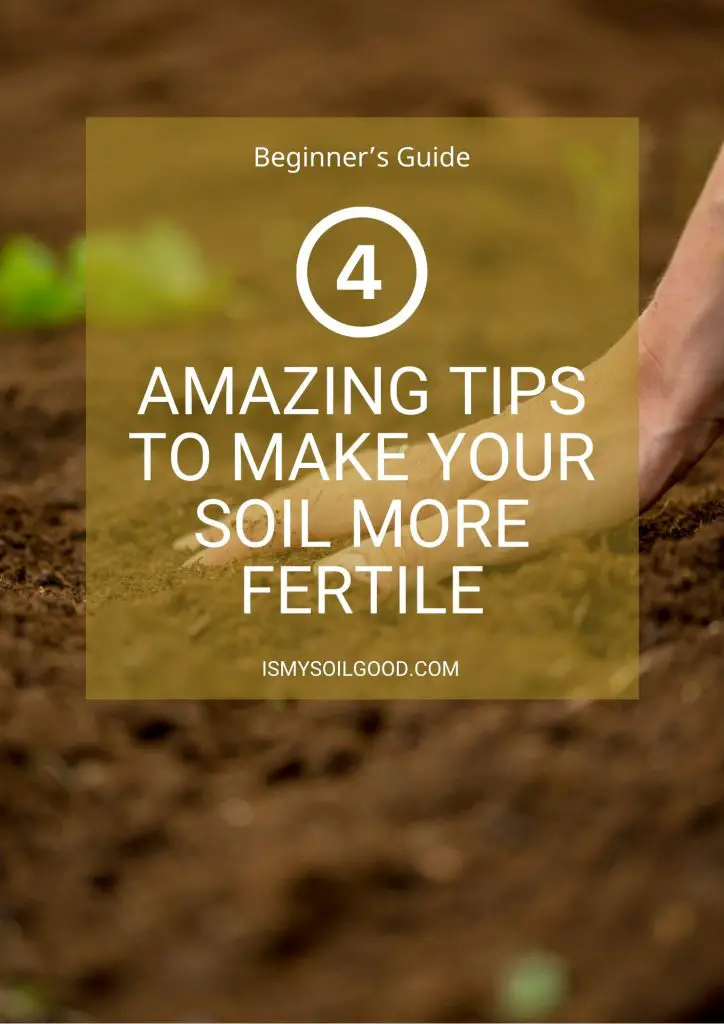 HOW TO MAKE SOIL MORE FERTILE