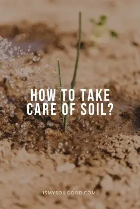 How to Take Care of Soil