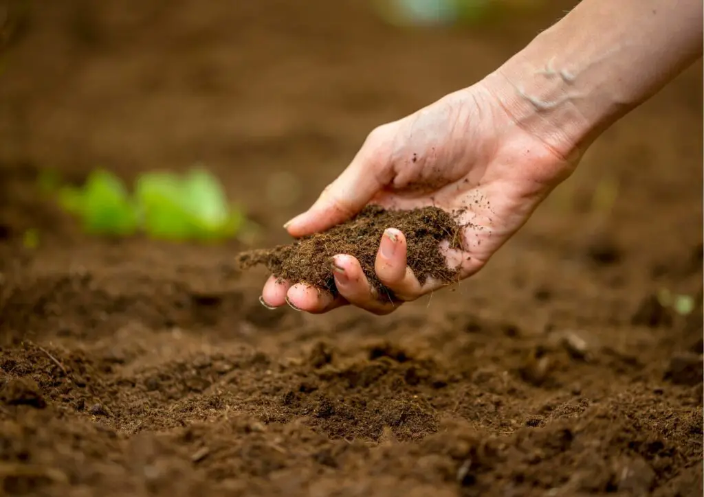 how to make soil more fertile