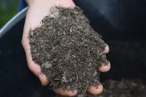 ⦁ Improving the Health of your soil