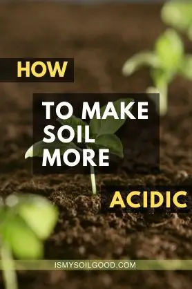 How to make soil more acidic