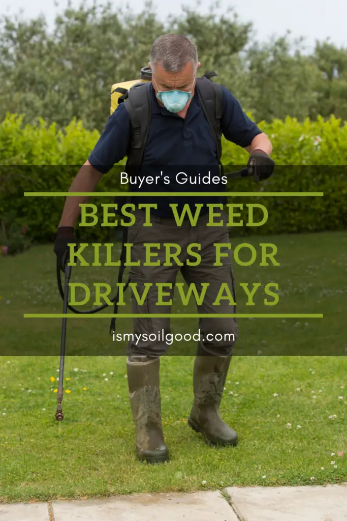 Best Weed Killers for Driveways