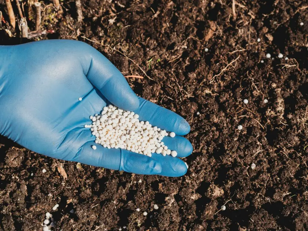 why might soils rich in organic matter not be fertile