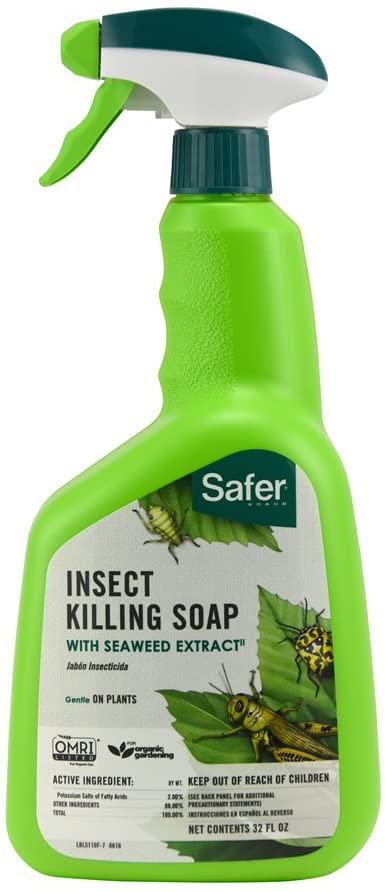 Safer Brand 5110-6 Insect Killing Soap