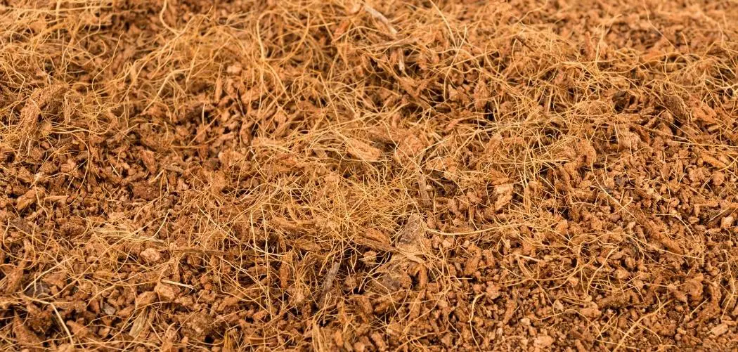 What is coco coir