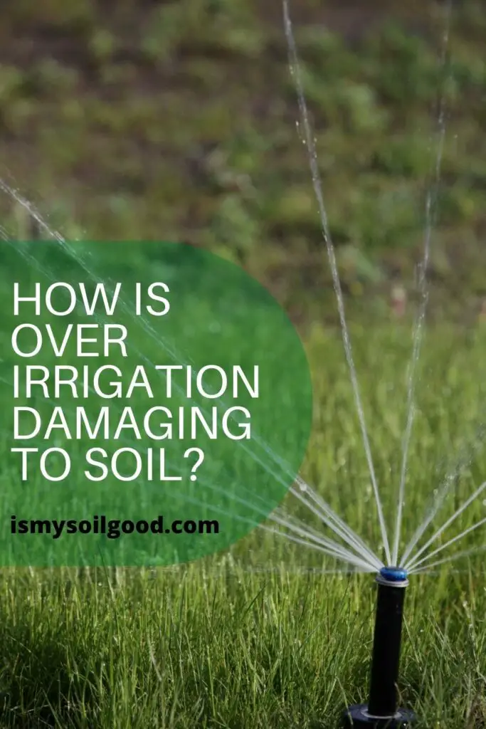 how is over irrigation damaging to soil