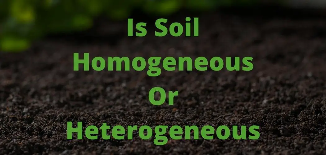 is soil homogeneous or heterogeneous
