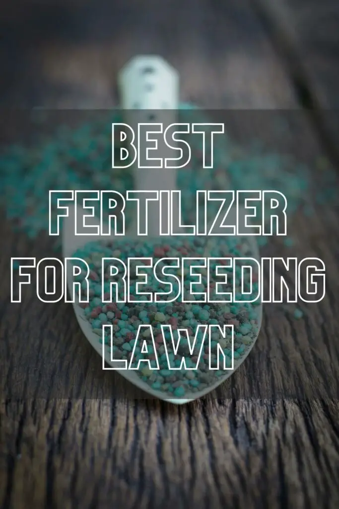 Best Fertilizer for Reseeding Lawn