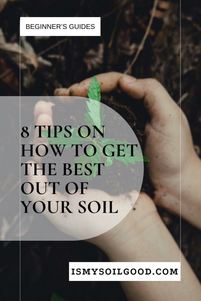 How To Get The Best Out of Your Soil
