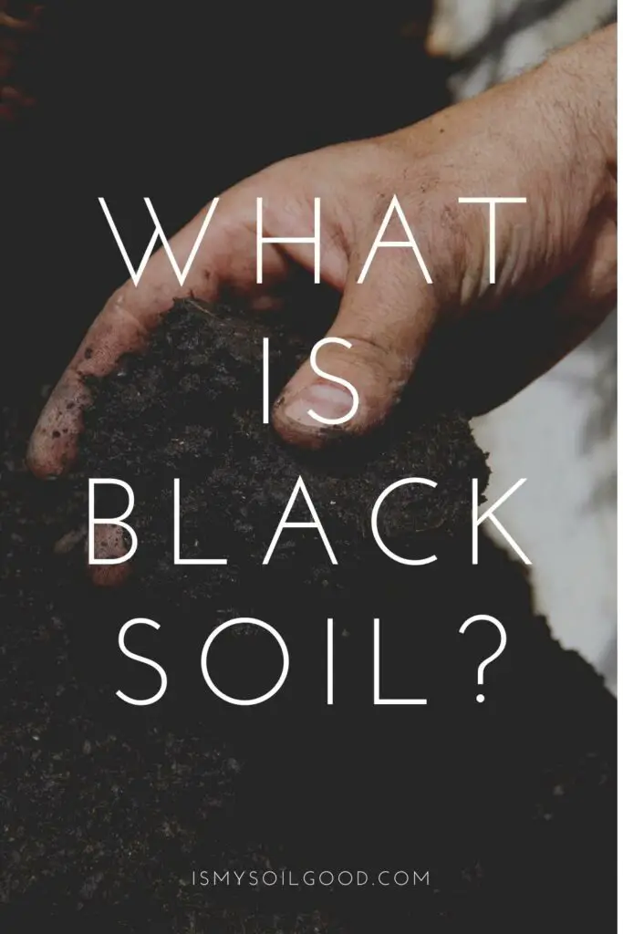 What Is Black Soil?