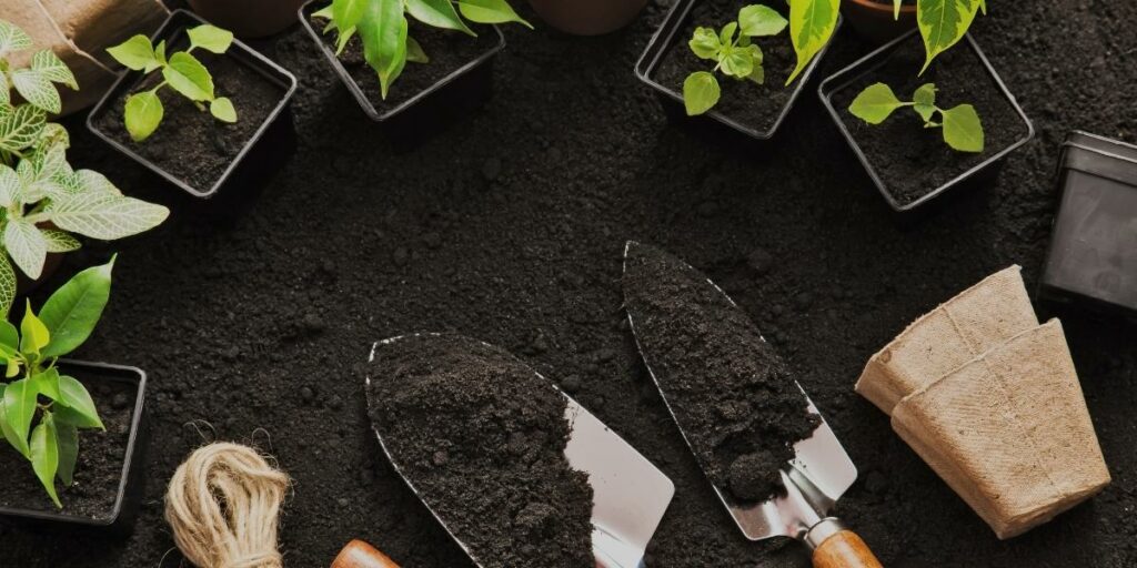 What do the results of a soil test mean for your garden