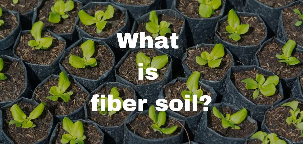 What is fiber soil ismysoilgood