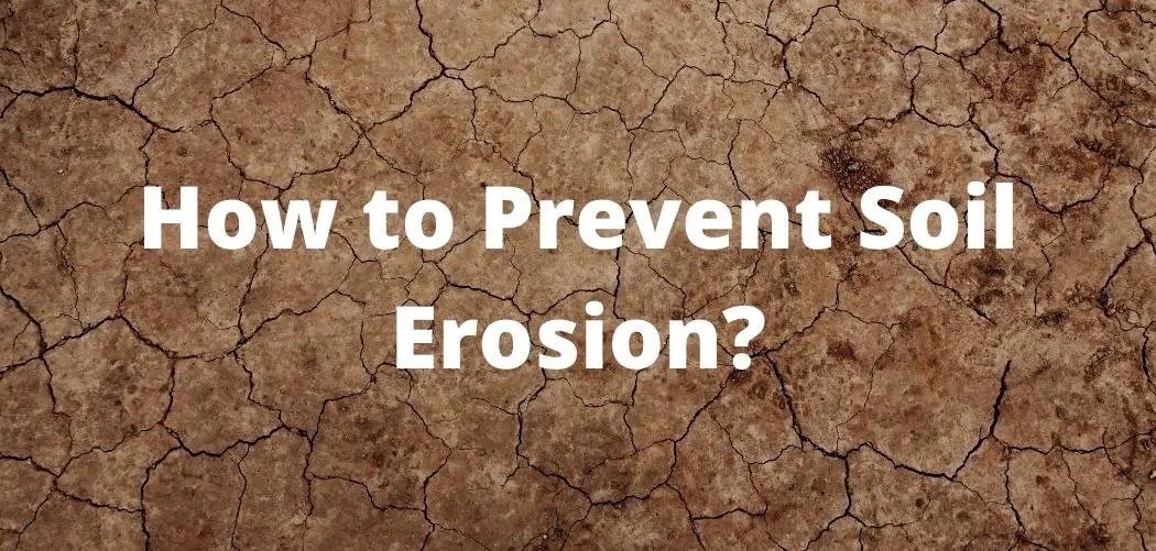 7 Strategies on How to Prevent Soil Erosion