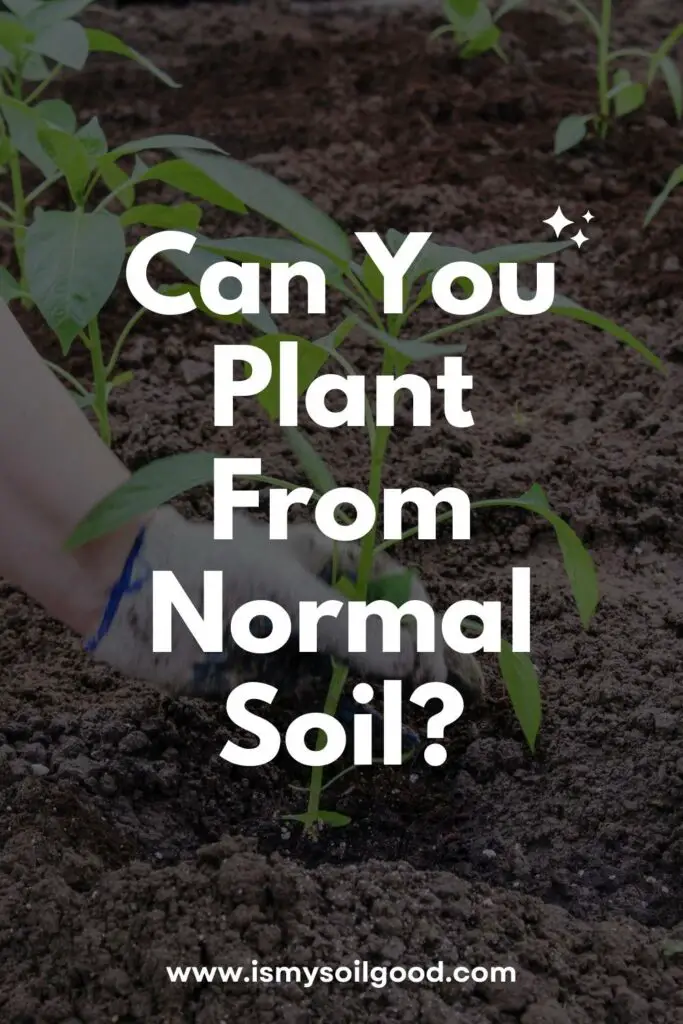 Can You Plant From Normal Soil