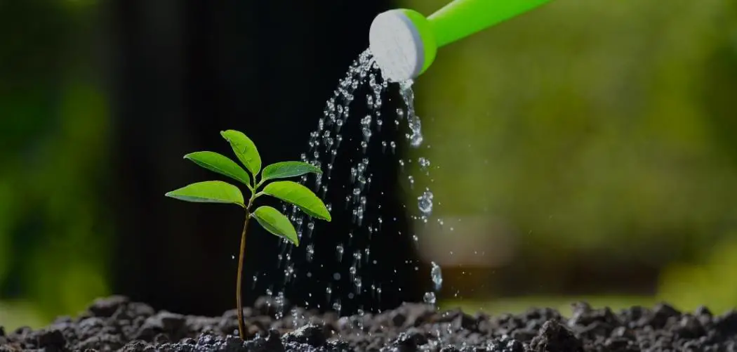 How To Keep Soil Moist But Not Wet ismysoilgood