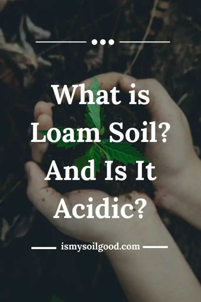 What is Loam Soil And Is It Acidic