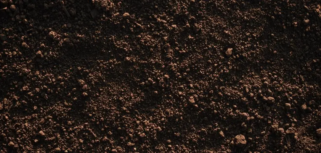 What is Loam Soil look like