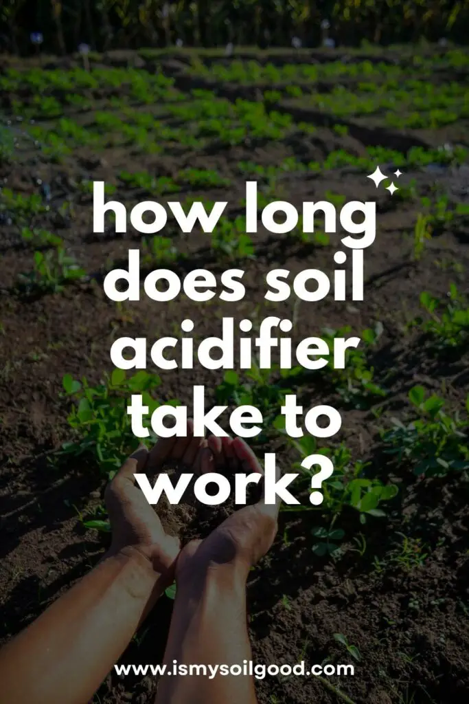 how long does soil acidifier take to work