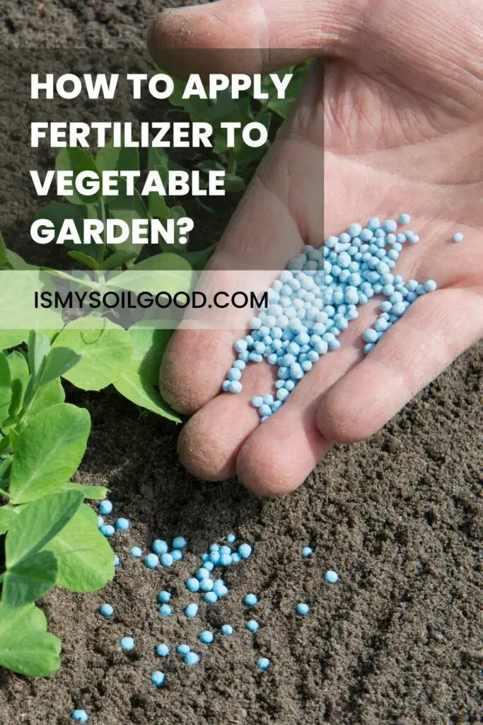 how to apply fertilizer to vegetable garden