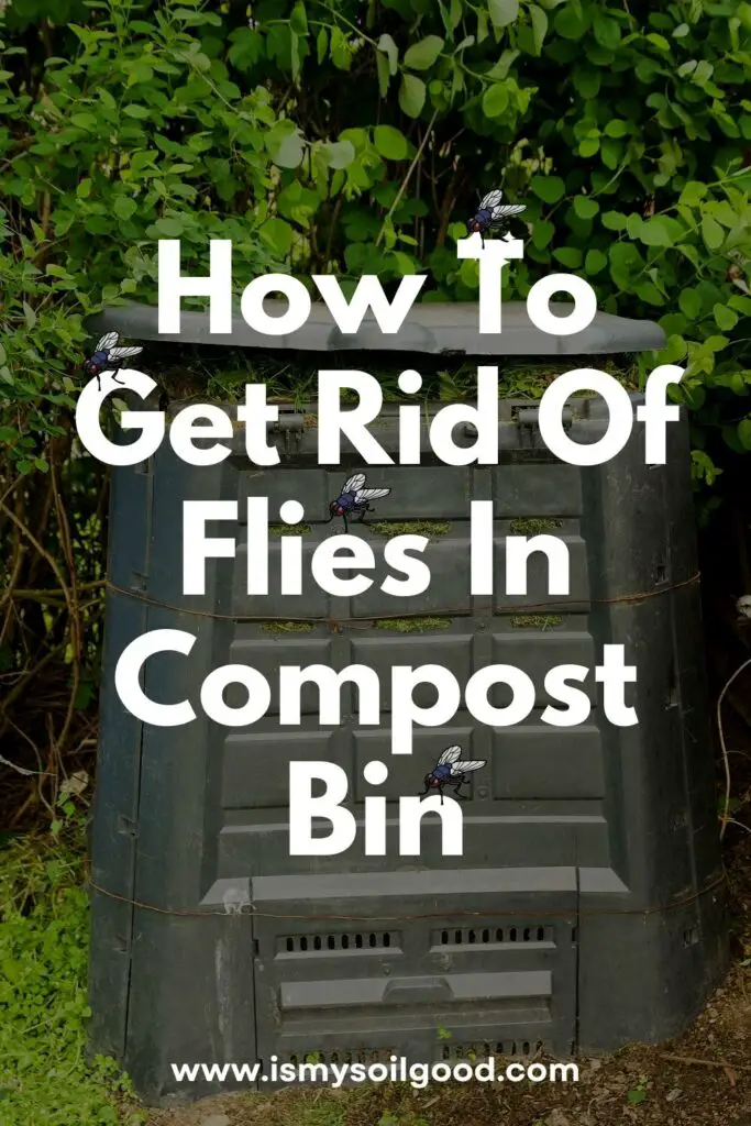 How To Get Rid Of Flies In Compost Bin