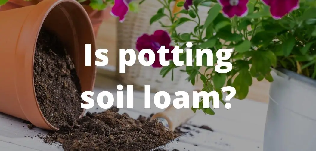 Is Potting Soil Loam What Does Potting Soil Consist Of