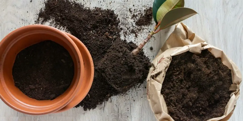 What are the disadvantages of loam soil