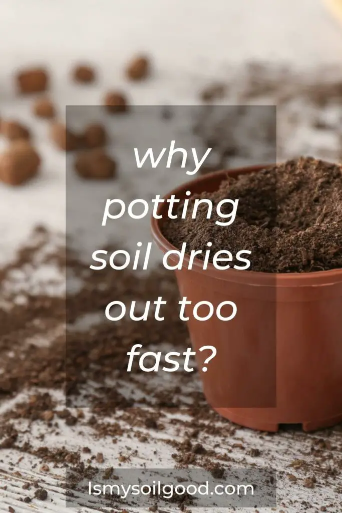 why potting soil dries out too fast?