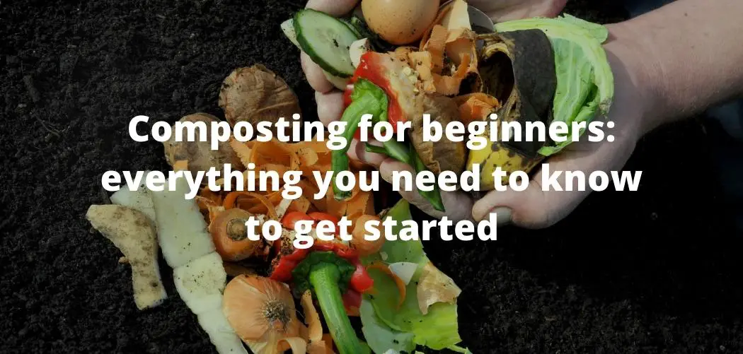 Composting for beginners: everything you need to know to get started