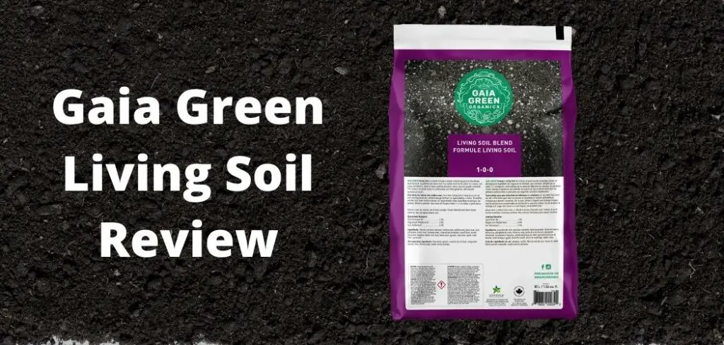 Gaia Green Living Soil Review ismysoilgood