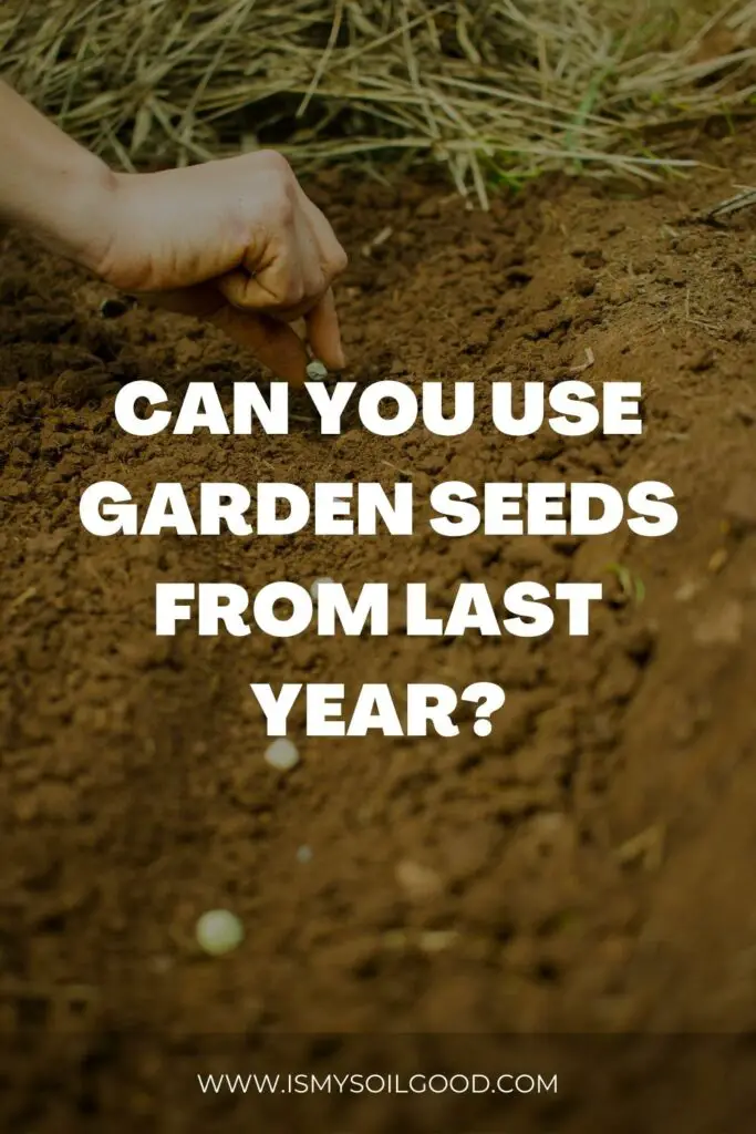can you use garden seeds from last year?