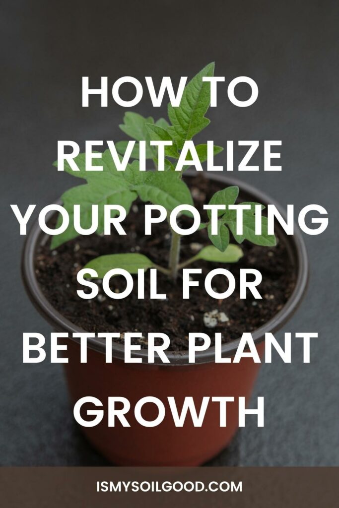 How to Revitalize Your Potting Soil