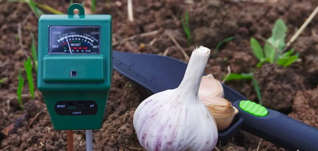 How to Use a Soil Test Kit in Your Garden
