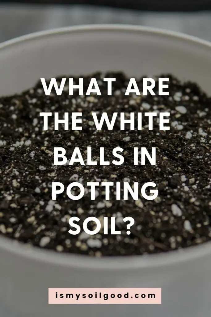 What Are The White Balls in Potting Soil? 