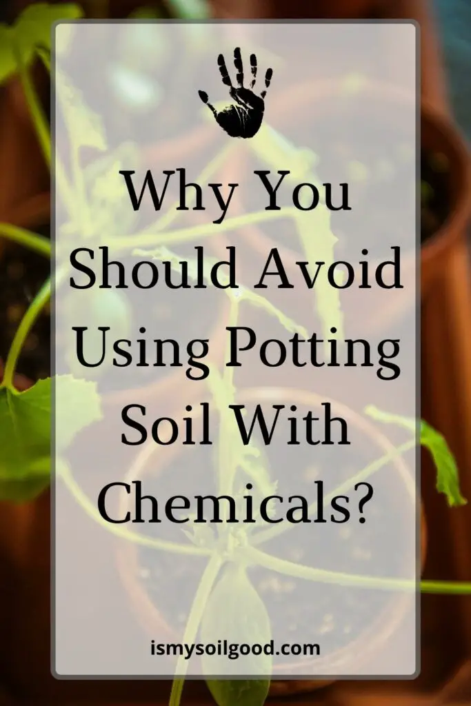 Why You Should Avoid Using Potting Soil With Chemicals?
