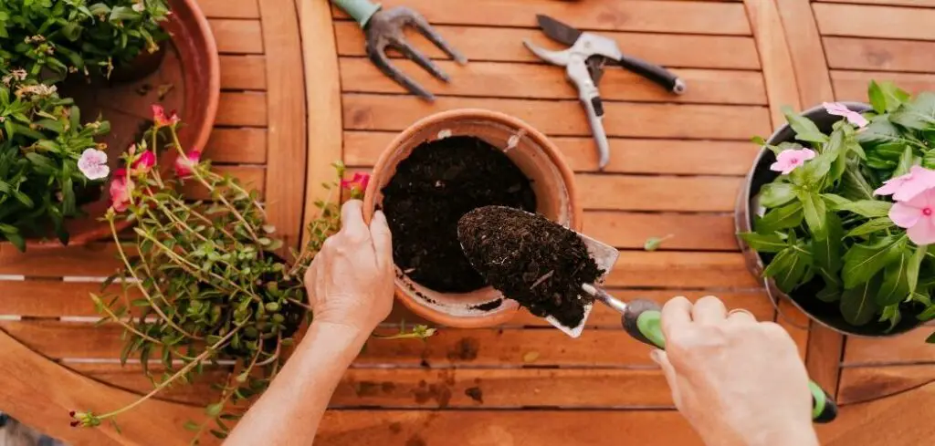 Why You Should Avoid Using Potting Soil With Chemicals