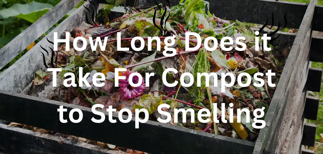 How Long Does it Take For Compost to Stop Smelling